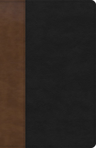 KJV Personal Size Giant Print Bible-Black/Brown LeatherTouch