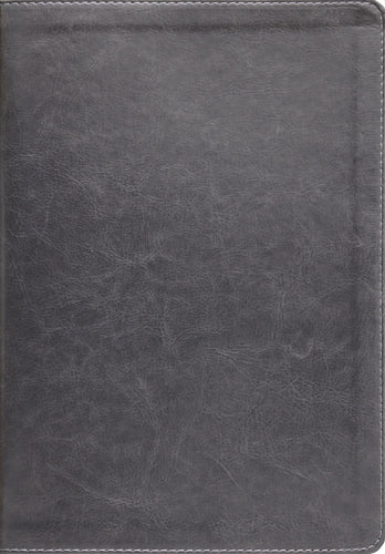 ESV Thompson Chain-Reference Bible-Gray Leathersoft