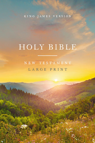 KJV Large Print Outreach New Testament Bible (Comfort Print)-Scenic Softcover