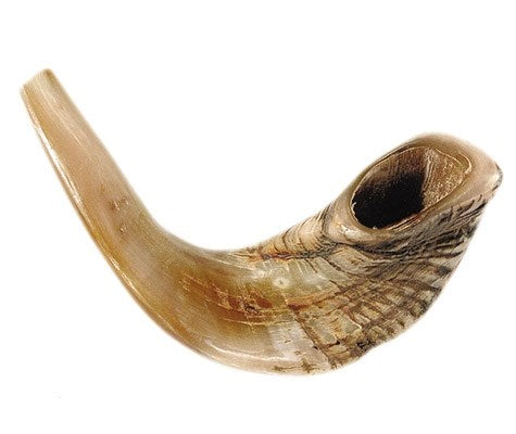 Shofar-Ram Horn-Size B (15