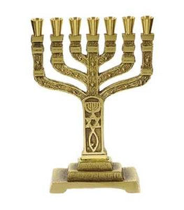 Menorah-12 Tribes-Roots (7 Branched) (6.5")-Brass