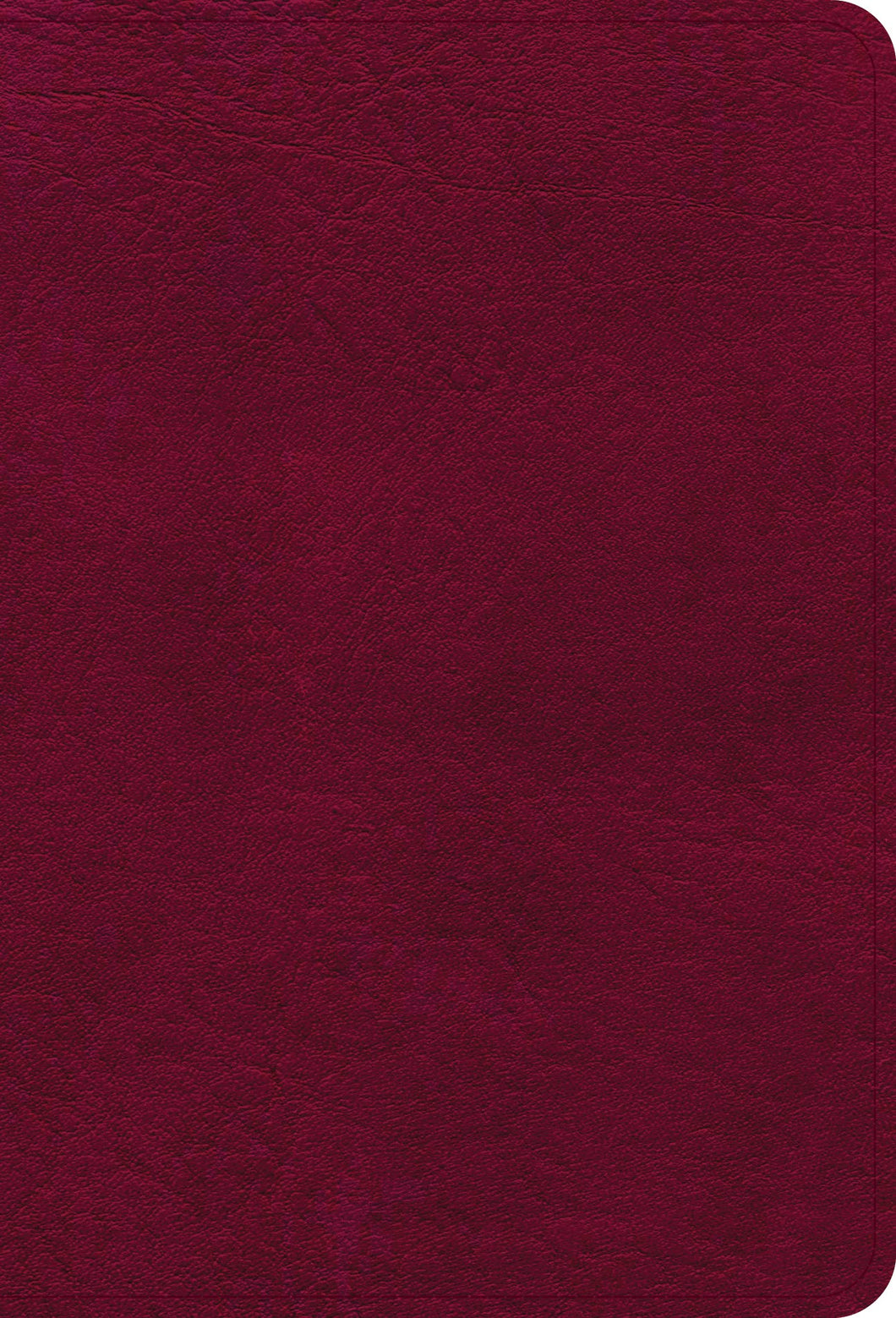 NASB 2020 Large Print Compact Reference Bible-Burgundy Leathertouch