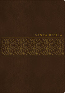NTV Handy Size Bible/Large Print (Santa Biblia  Edicion Manual  Letra Gigante)-Brown LeatherLike