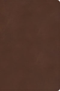 CSB Rainbow Study Bible-Brown LeatherTouch