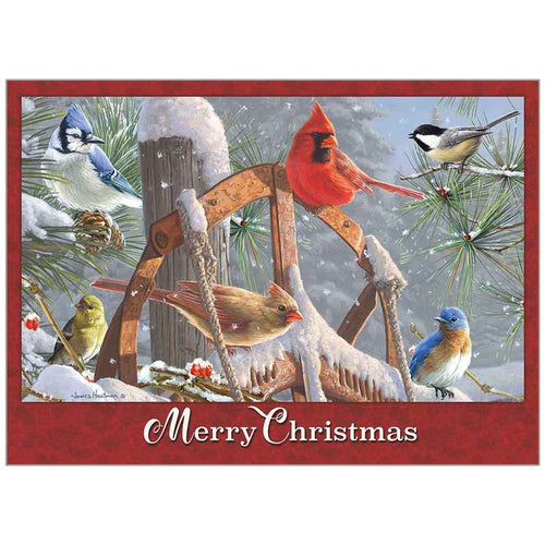 Card-Boxed-Christmas-Fresh Snow  (John 1:16 NLT) (Box Of 20)