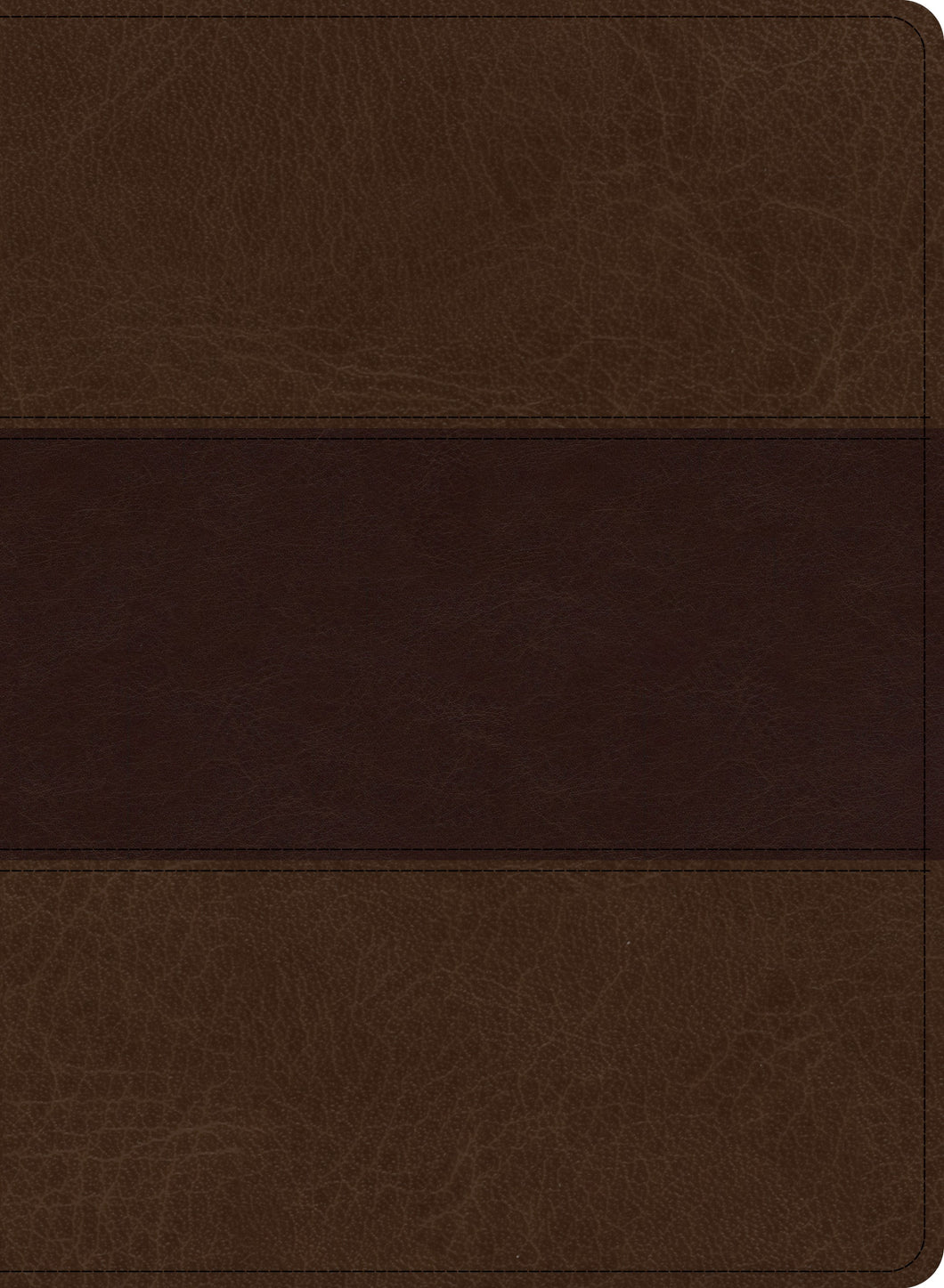 KJV Study Bible/Large Print Edition-Saddle Brown LeatherTouch