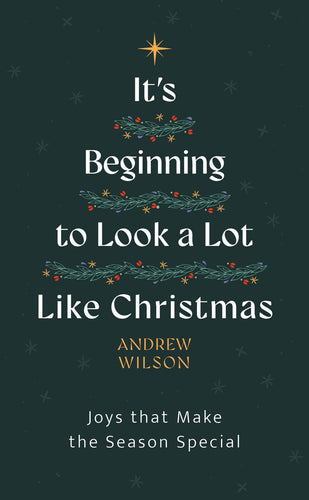 It?s Beginning to Look a Lot Like Christmas : Joys That Make the Season Special
