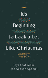 It?s Beginning to Look a Lot Like Christmas : Joys That Make the Season Special