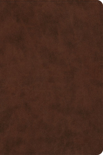 ESV Holy Bible: Dyslexia-Friendly Edition-Brown TruTone
