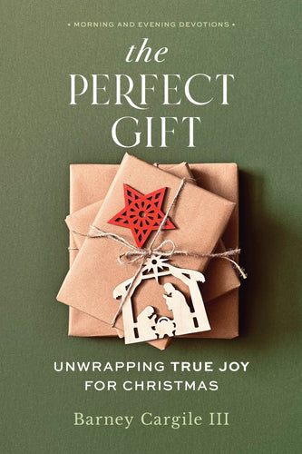 The Perfect Gift : Unwrapping True Joy for Christmas (Paperback)