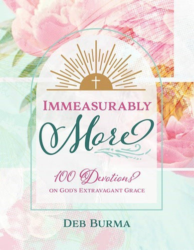 Immeasurably More: A 100-Day Devotional Journal (Paperback)