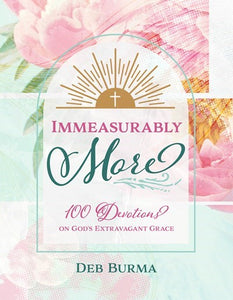 Immeasurably More: A 100-Day Devotional Journal (Paperback)
