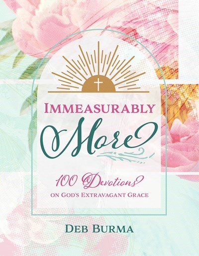 Immeasurably More: A 100-Day Devotional Journal (Paperback)