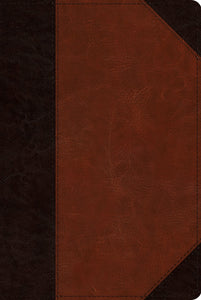 ESV Reader's Bible-Brown/Cordovan Portfolio Design TruTone                                                              