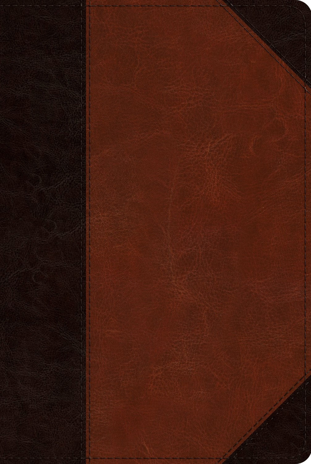 ESV Reader's Bible-Brown/Cordovan Portfolio Design TruTone                                                              
