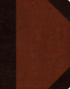 ESV Single Column Journaling Bible-Brown/Cordovan Portfolio Design Trutone                                              