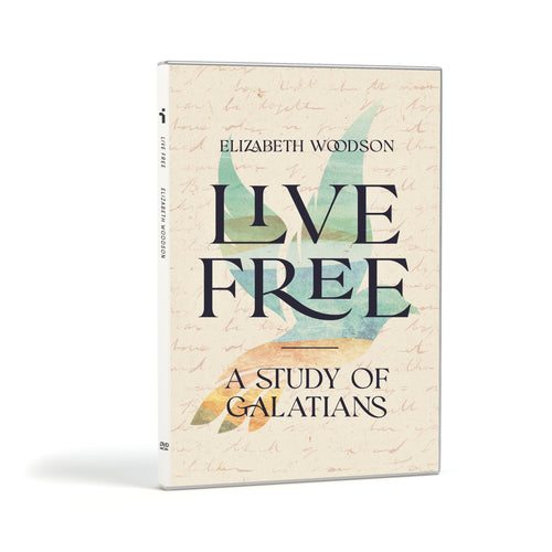 DVD-Live Free Set                                                                                                       