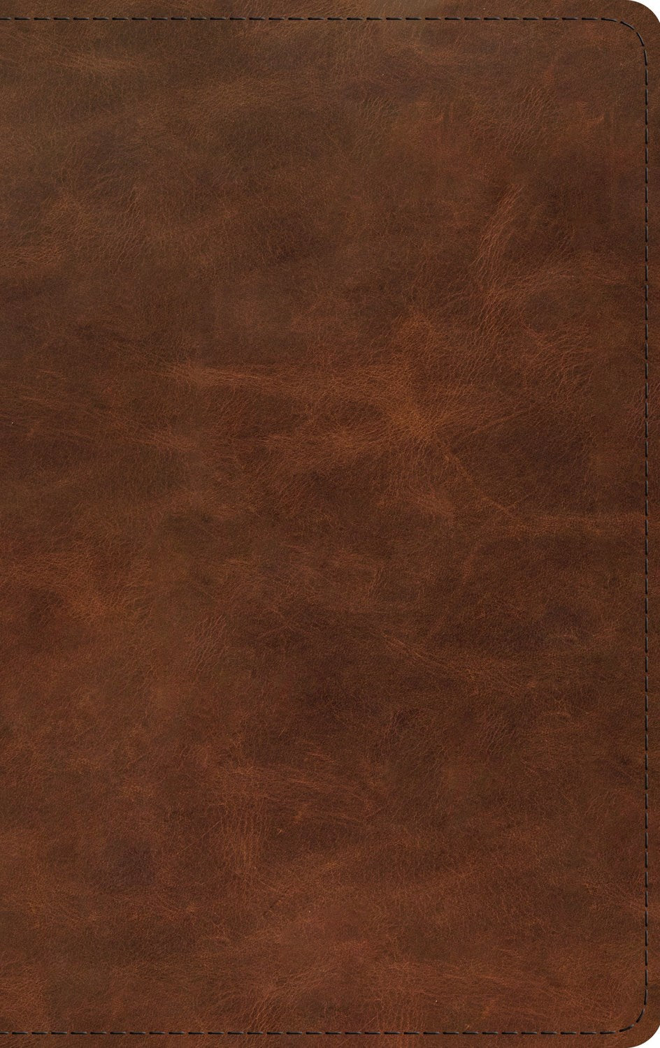 ESV Thinline Bible (RL)-Deep Brown Full Grain Leather                                                                   