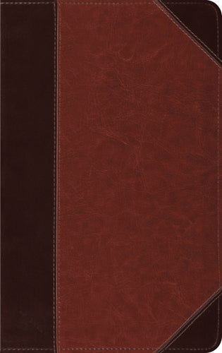 ESV Thinline Bible (RL)-Brown/Cordovan  Portfolio Design TruTone                                                        