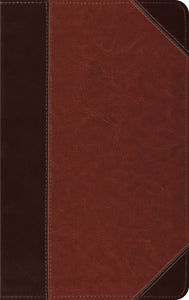 ESV Thinline Bible (RL)-Brown/Cordovan  Portfolio Design TruTone                                                        