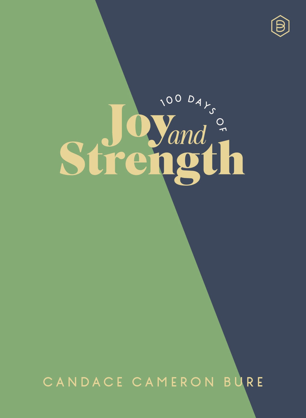 100 Days Of Joy And Strength                                                                                            