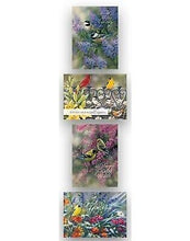 Card-Boxed-Shared Blessings-Get Well 3-Birds (Box Of 12)