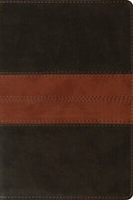 ESV Personal Reference Bible-Deep Brown/Tan Trail Design TruTone