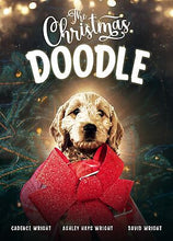 DVD-The Christmas Doodle