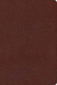 CSB Large Print Thinline Bible-Brown Bonded Leather Indexed