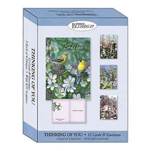 Card-Boxed-Shared Blessings-Thinking Of You-Signs Of Spring (Box Of 12)
