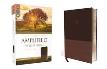 Amplified Study Bible (Revised)-Brown LeatherSoft