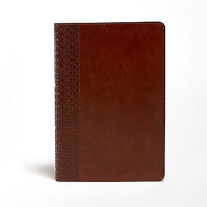 KJV Everyday Study Bible-British Tan LeatherTouch