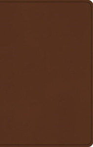 ESV Large Print Value Thinline Bible-Camel TruTone