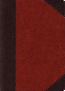 ESV Study Bible/Large Print-Brown Cordovan Portfolio Design TruTone