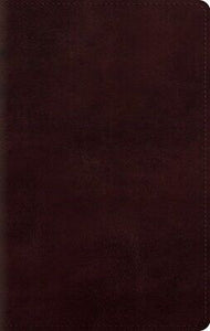ESV Large Print Personal Size Bible-Mahogany TruTone