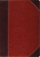 ESV Study Bible-Brown Cordovan Portfolio Design TruTone Indexed