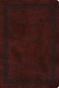 ESV Value Compact Bible-Mahogany Border Design TruTone