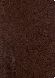 ESV Single Column Journaling Bible/Large Print-Mocha Bonded Leather