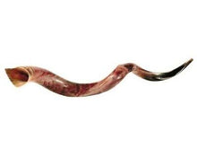 Shofar-Yemenite-XL (#1112)