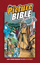 The Picture Bible-Hardcover