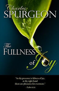 Fullness Of Joy