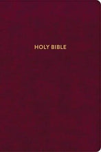 KJV Rainbow Study Bible-Burgundy LeatherTouch Indexed