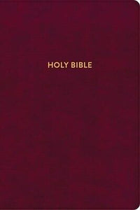 KJV Rainbow Study Bible-Burgundy LeatherTouch Indexed