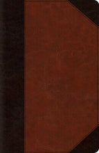 ESV Reference Bible-Brown/Cordovan Portfolio Design TruTone