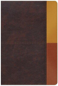 RVR 1960 Rainbow Study Bible (Biblia de Estudio Arco Iris)-Cocoa/Terracota LeatherTouch Indexed