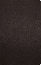 ESV Thinline Bible-Deep Brown Buffalo Leather