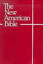 NABRE Student Edition Bible-Red Softcover