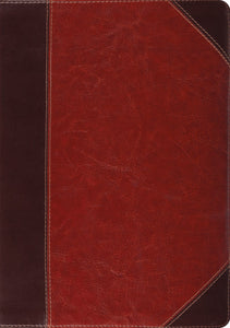 ESV Study Bible-Brown Cordovan Portfolio Design TruTone