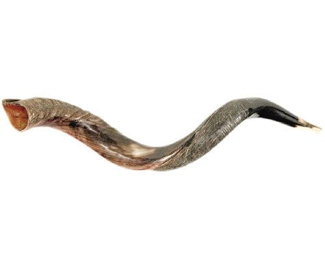 Shofar-Yemenite-Small (26