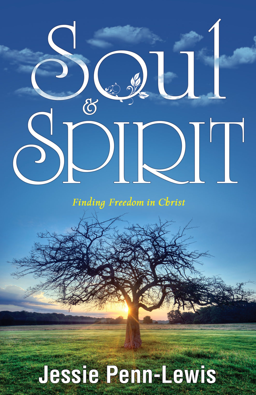 Soul And Spirit: Finding Freedom in Christ